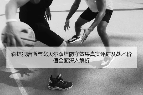 森林狼唐斯与戈贝尔双塔防守效果真实评估及战术价值全面深入解析