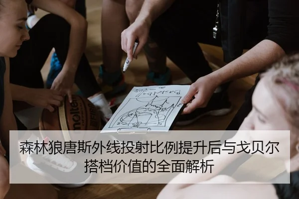森林狼唐斯外线投射比例提升后与戈贝尔搭档价值的全面解析