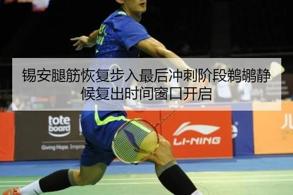 锡安腿筋恢复步入最后冲刺阶段鹈鹕静候复出时间窗口开启